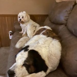 Meet your Posher, Melody